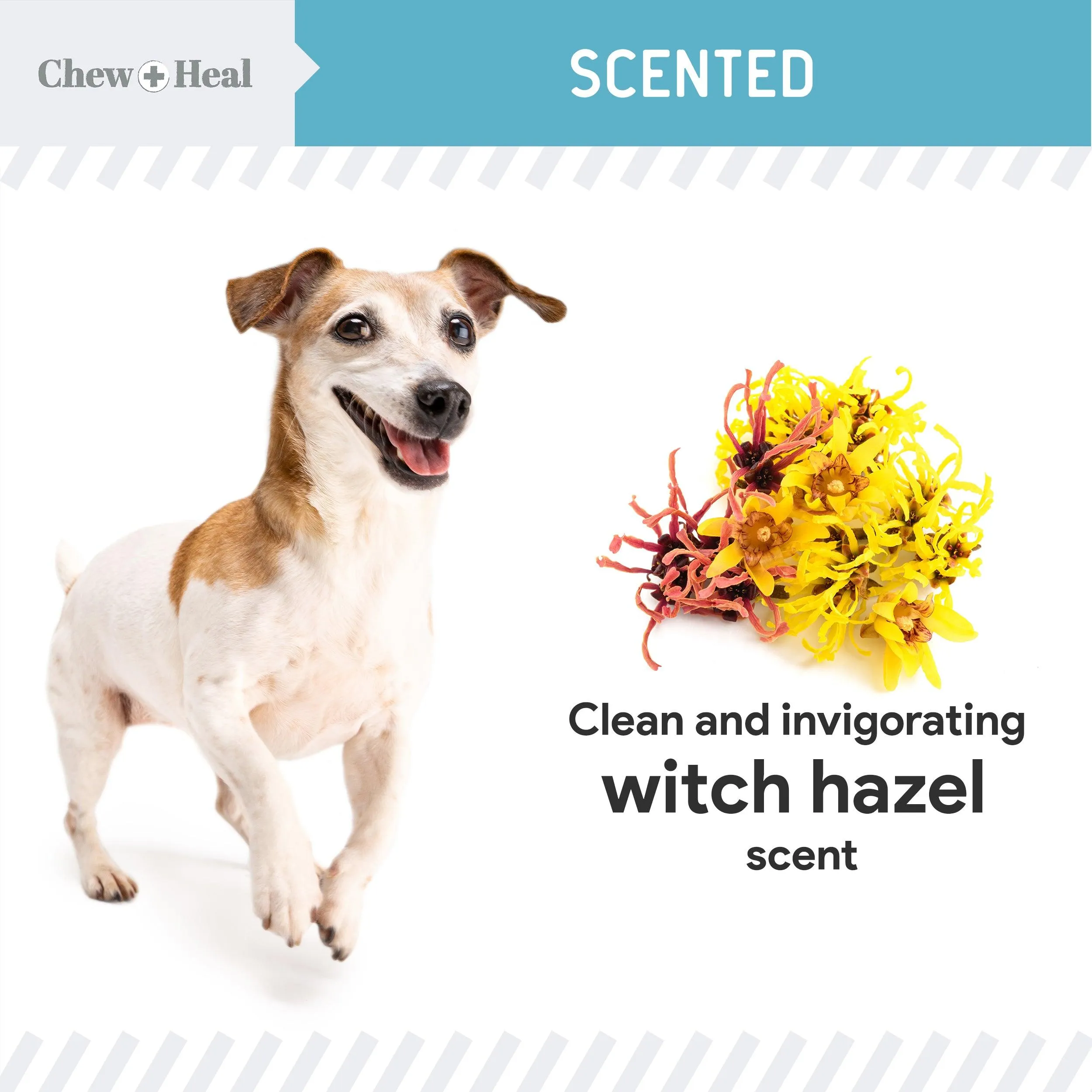 Chew   Heal Dog and Cat Ear Cleaner Drops