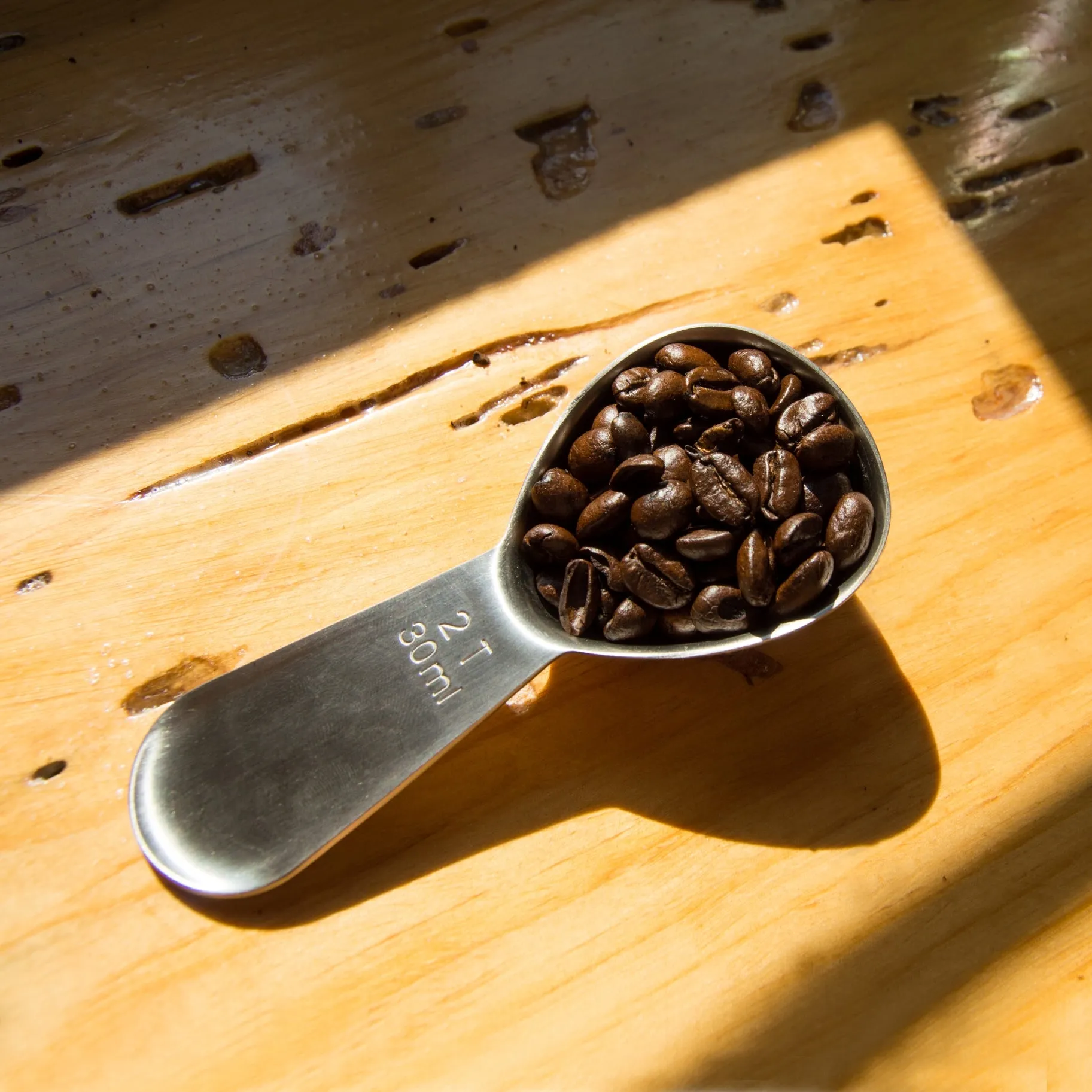 Coffee Scoop