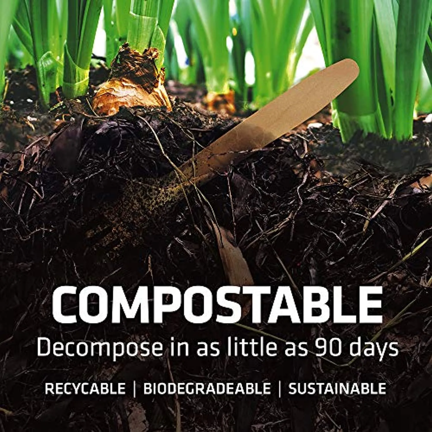 Disposable Wooden Forks, Spoons, Knives - Alternative to Plastic Cutlery - Eco Biodegradable