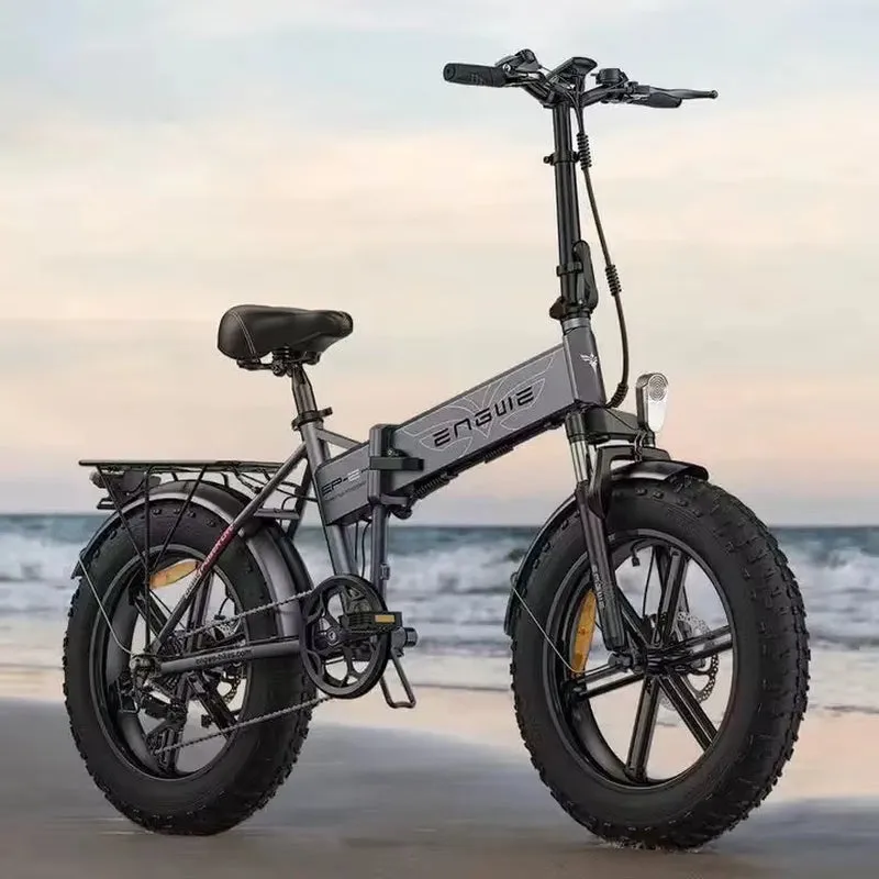 Electric Fat Bike with 48V 13Ah Lithium Battery Aluminum Alloy Frame Rear Hub Motor Disc Brake System down Tube Position