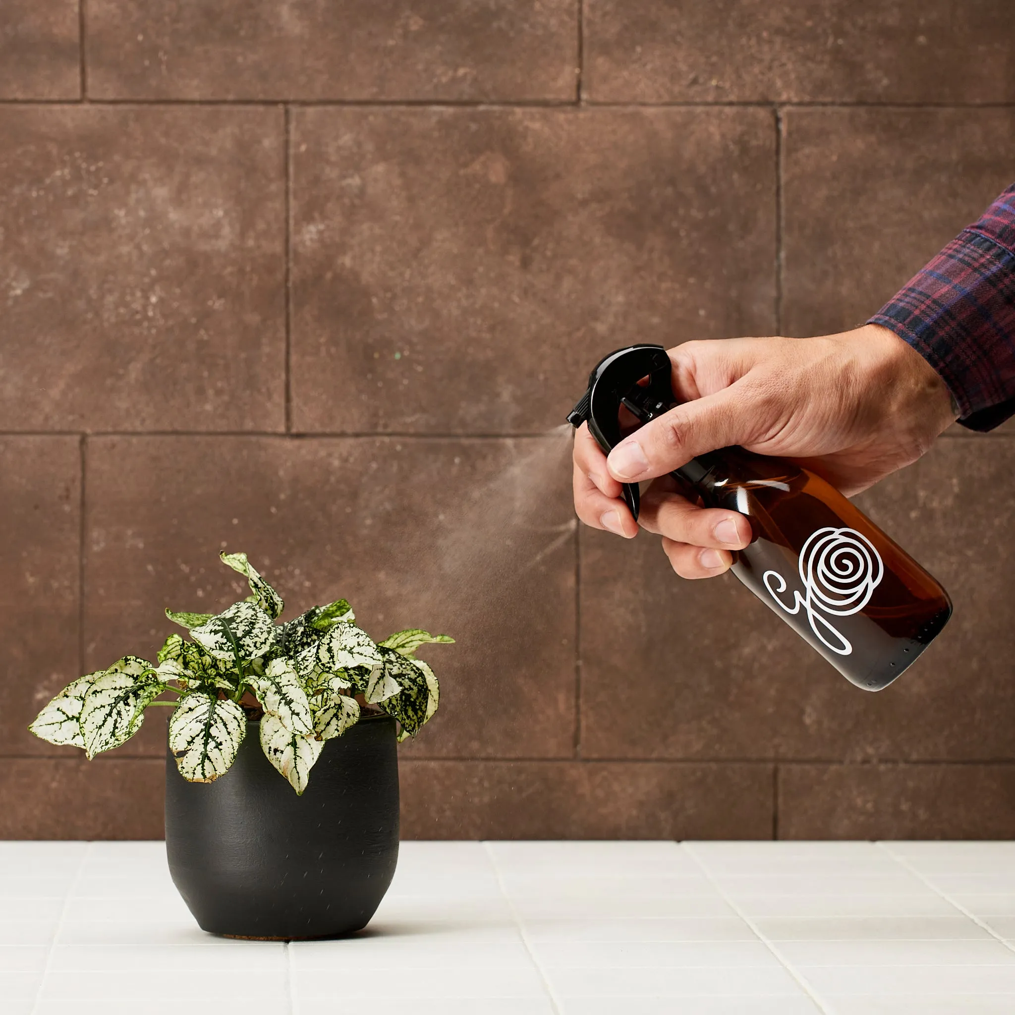 House Plant Leaf Cleanser with Olive Oil Soap