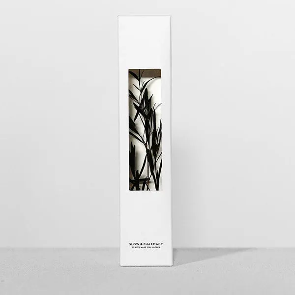 Plant in Bottle 200ml _ Melaleuca Alternifolia