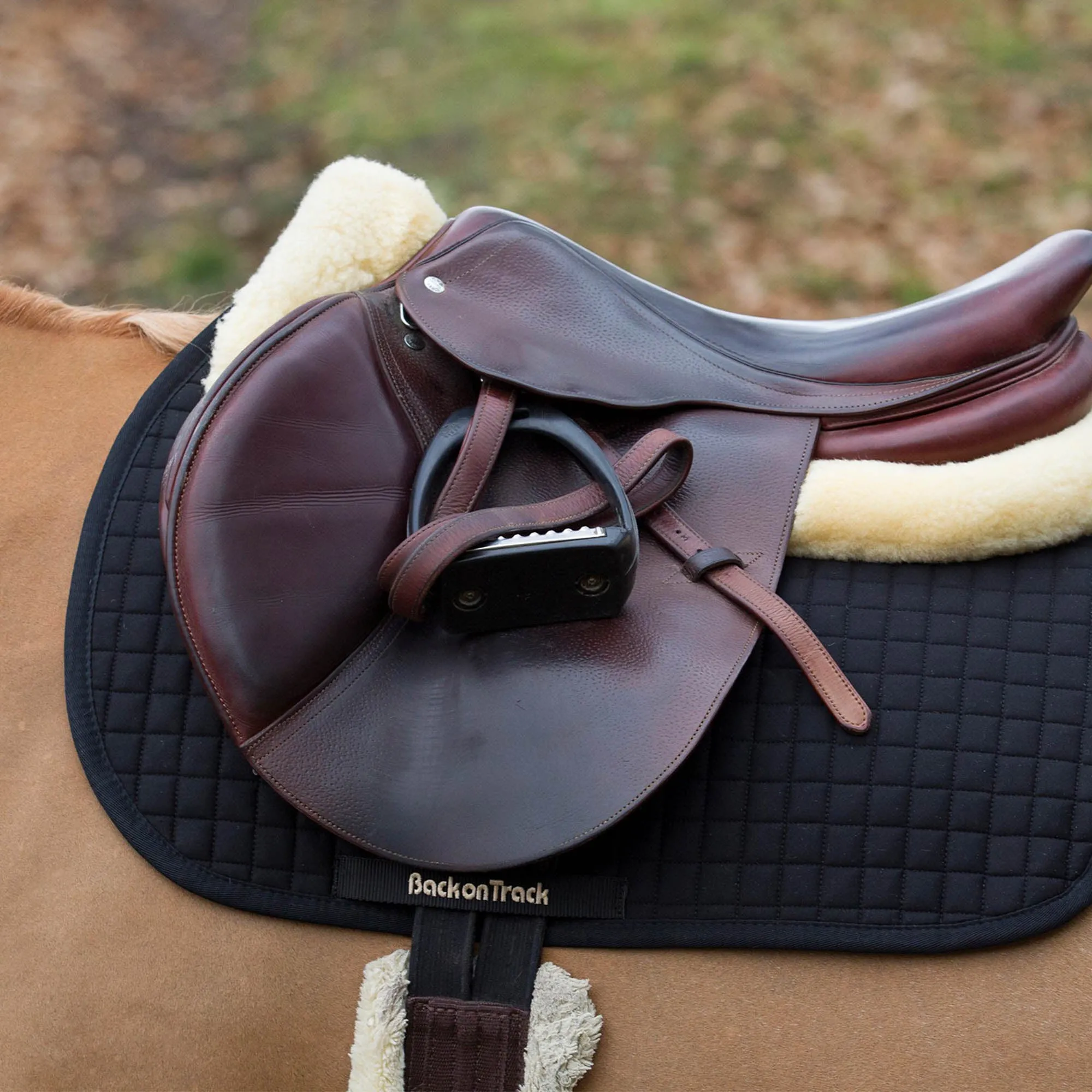 Saddle Pad No1 All-Purpose