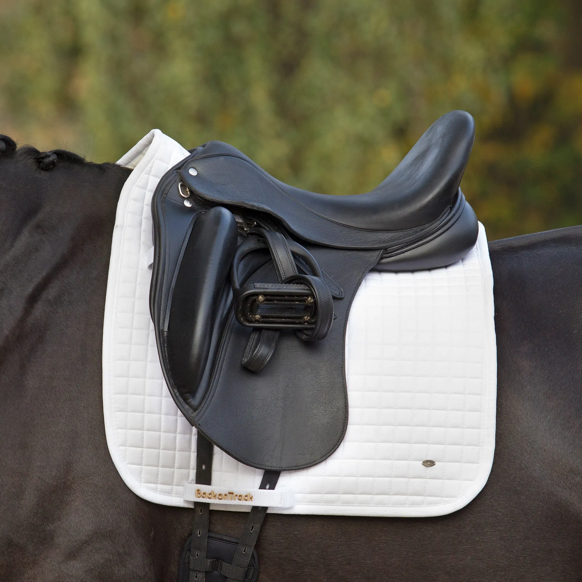 Saddle Pad No1 Dressage